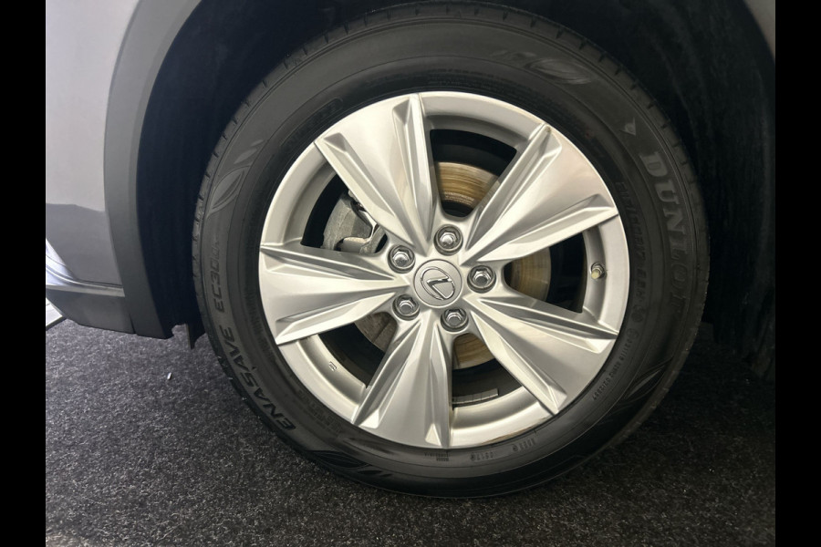 Lexus UX 250h Business Line | Adaptieve cruise control | Achteruitrijcamera | Hybrid!