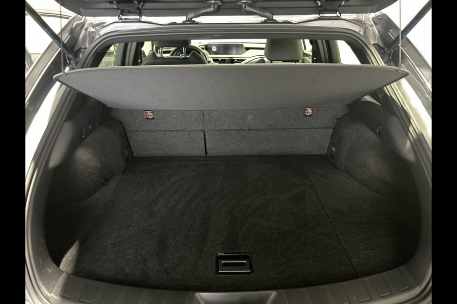 Lexus UX 250h Business Line | Adaptieve cruise control | Achteruitrijcamera | Hybrid!