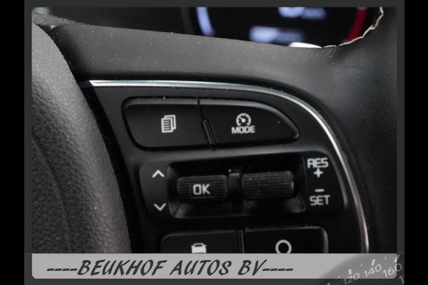 Kia e-Niro DynamicLine 64 kWh Carplay Camera Stoelverwarming