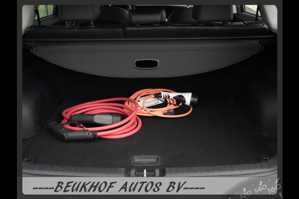 Kia e-Niro DynamicLine 64 kWh Carplay Camera Stoelverwarming