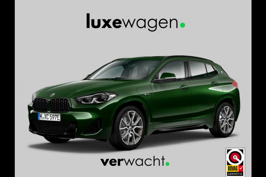 BMW X2 xDrive25e M-Sport Goldplay Pano ACC HUD Camera M-zetels
