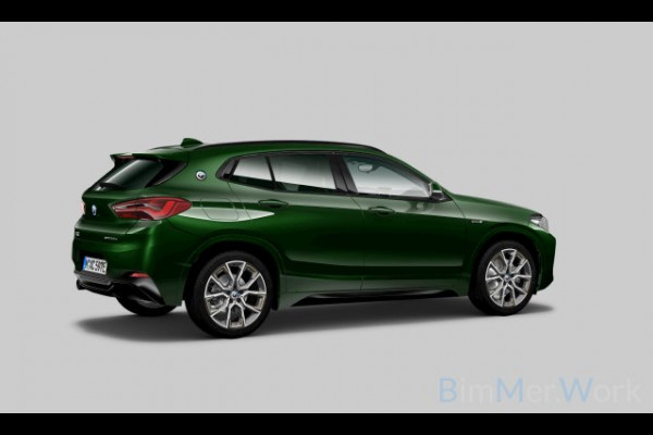 BMW X2 xDrive25e M-Sport Goldplay Pano ACC HUD Camera M-zetels