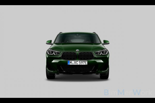 BMW X2 xDrive25e M-Sport Goldplay Pano ACC HUD Camera M-zetels