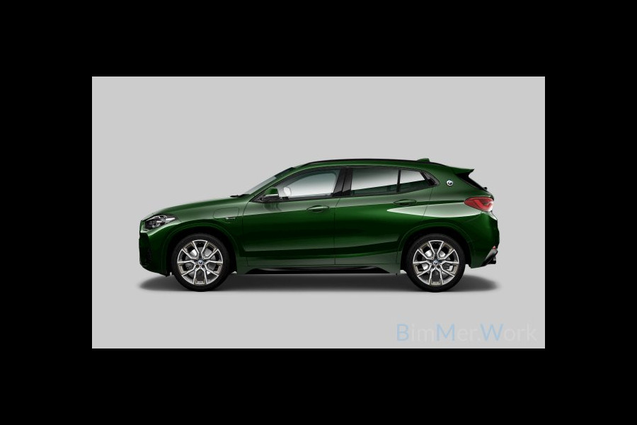 BMW X2 xDrive25e M-Sport Goldplay Pano ACC HUD Camera M-zetels