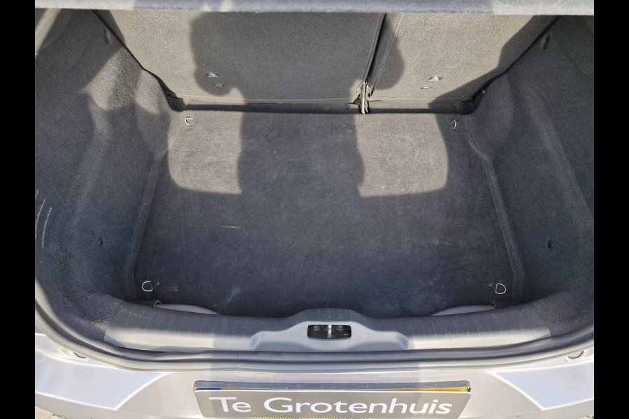 Citroën C4 Cactus 1.2 PureTech Shine
