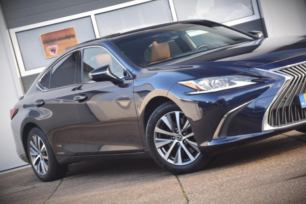 Lexus ES 300h Business Line