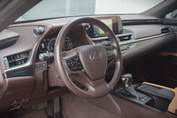 Lexus ES 300h Business Line