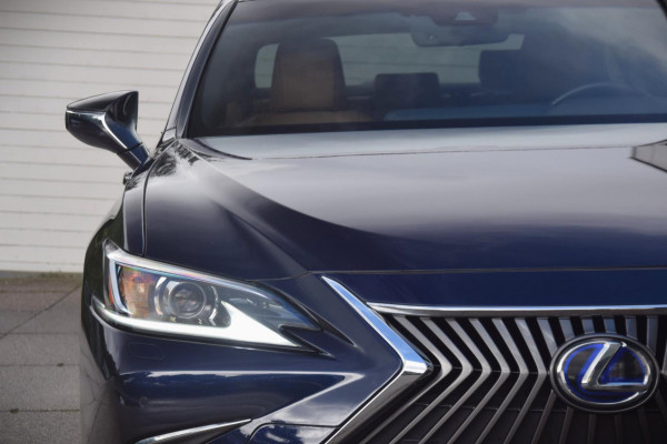 Lexus ES 300h Business Line