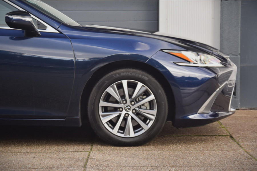 Lexus ES 300h Business Line