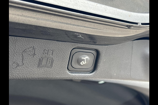 Ford Galaxy 2.5 Titanium FHEV 190pk | Trekhaak | Winter Pack | Adaptive cruise control | Sony audio