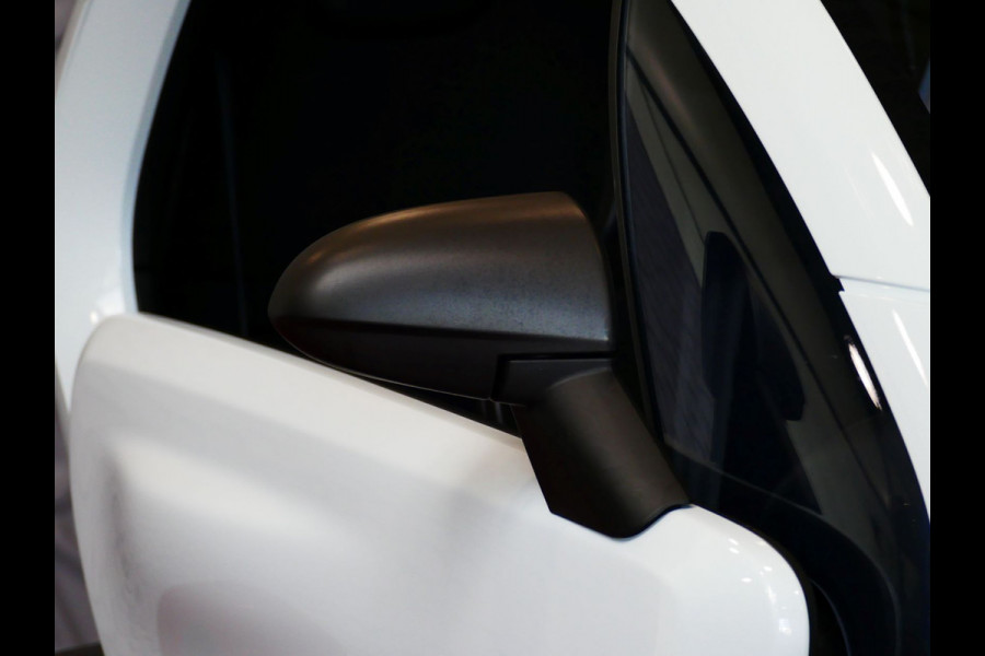 Renault Twizy URBAN 80 INCL ACCU 4122 KM PDC RUITVERW. SWICHBLADE