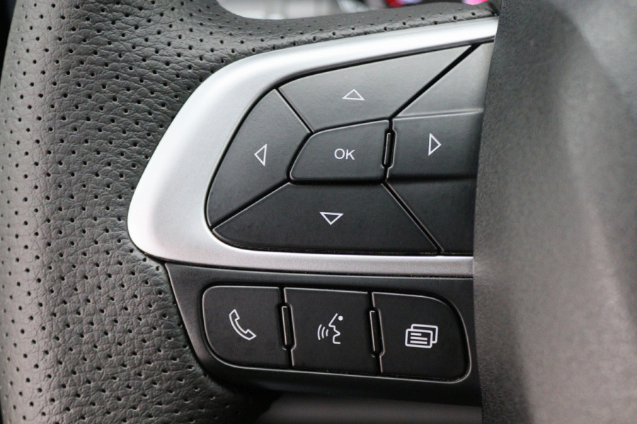 Iveco Daily 35S18V 3.0 Automaat L2H2 Luchtvering, ACC, Camera, Climate, Appel Carplay, LED, DAB, Trekhaak