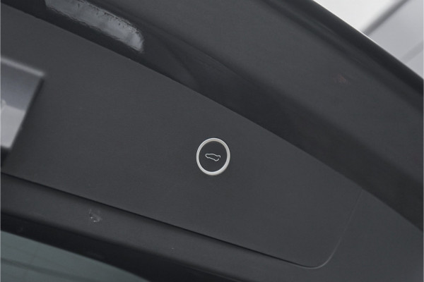 Tesla Model X 100D 7Pers Autopilot Trekhaak 22 Inch