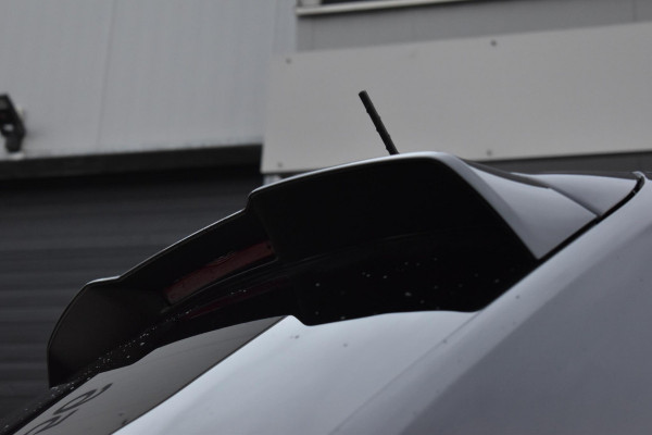 Volkswagen Polo 2.0 TSI GTI Virtual Stoelvw ACC DCC LED