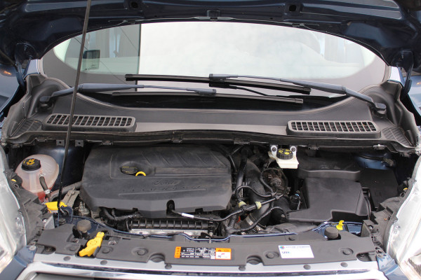 Ford Kuga 1.5 120 pk EcoBoost Trend Ultimate 1800kg Trekgewicht, Trekhaak, Lm velgen, Navigatie