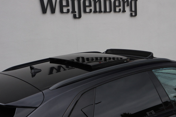 Audi RSQ8 4.0 TFSI Quattro Alcantara Pano