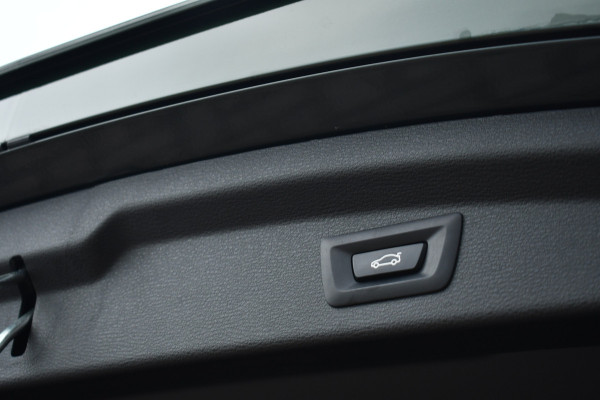 BMW X2 xDrive25e M-Sport Goldplay Pano ACC HUD Camera M-zetels