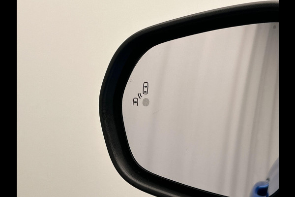 Ford Fiesta 1.0 EcoBoost Titanium Adaptieve/Cruise Camera Apple/Carplay Origineel NL