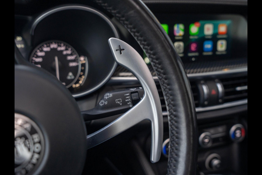 Alfa Romeo Stelvio 2.9 V6 AWD Quadrifoglio 510PK / Pano / Carbon / H&K / Memory Alfa Romeo Stelvio 2.9 V6 AWD Quadrifoglio 510PK / Pano / Carbon / H&K / Memory