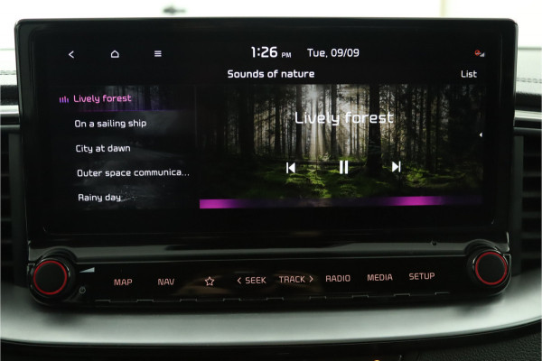 Kia Ceed Sportswagon 1.0 T-GDi DynamicPlusLine - LED - Navigatie - Lichtmetalen Velgen - Cruise Control - Climate Control - Fabrieksgarantie Tot 2028 Kia Ceed Sportswagon 1.0 T-GDi DynamicPlusLine - LED - Navigatie - Lichtmetalen Velgen - Cruise Control - Climate Control - Fabrieksgarantie Tot 2028