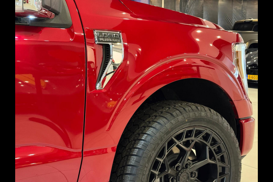 Ford USA F-150 3.5 V6 Ecoboost Platinum BPM VRIJ Ford USA F-150 3.5 V6 Ecoboost Platinum BPM VRIJ