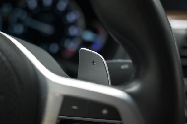 BMW X4 xDrive30i High Executive Edition |360|Leder|Memory|