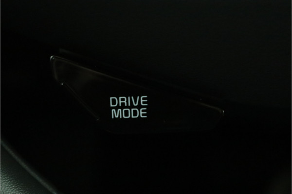 Kia Niro EV DynamicLine 64.8 kWh Automaat Apple Carplay/Android Auto - Cruise Control - Navigatie -  Keyless entry - Fabrieksgarantie tot 07-2031