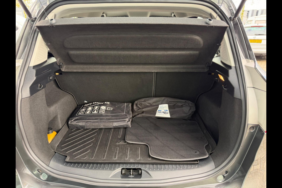 Ford B-MAX 1.0 EcoBoost Titanium, NAP, Camera, Trekhaak Ford B-MAX 1.0 EcoBoost Titanium, NAP, Camera, Trekhaak