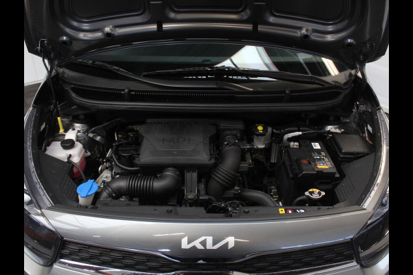 Kia Picanto 1.0 DPi DynamicLine 5p AIRCO | CARPLAY | CAMERA | DAB | CRUISE | LMV14 | STB Kia Picanto 1.0 DPi DynamicLine 5p AIRCO | CARPLAY | CAMERA | DAB | CRUISE | LMV14 | STB