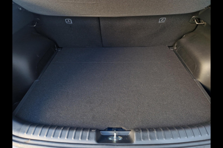 Kia Niro EV DynamicPlusLine 64.8 kWh | Navi | Clima | PDC | Cruise | Camera |