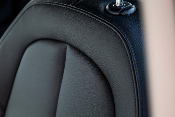 BMW X2 xDrive25e Executive CAMERA / LEDER / PLUG IN HYBRID / STOELVERWARMING