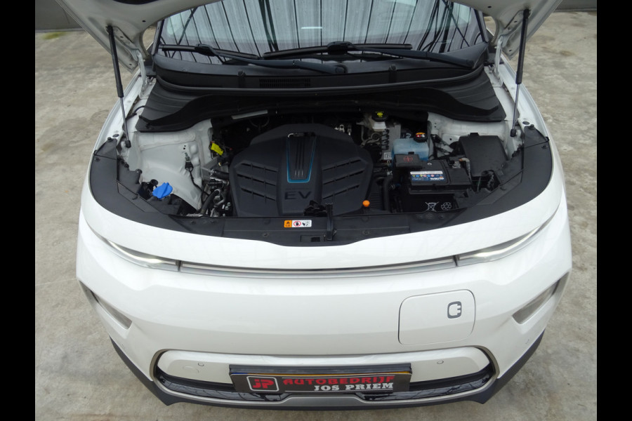 Kia e-Soul ExecutiveLine 64 kWh * TREKHAAK * LEER * DEALER ONDERH. !!