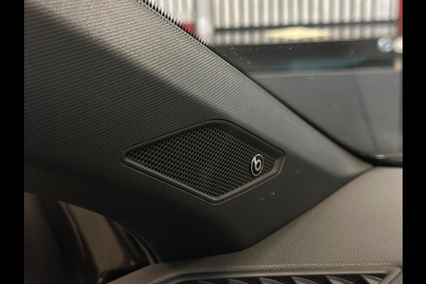 Volkswagen Polo 2.0 TSI GTI|PANO|MAXTON|BOMVOL!