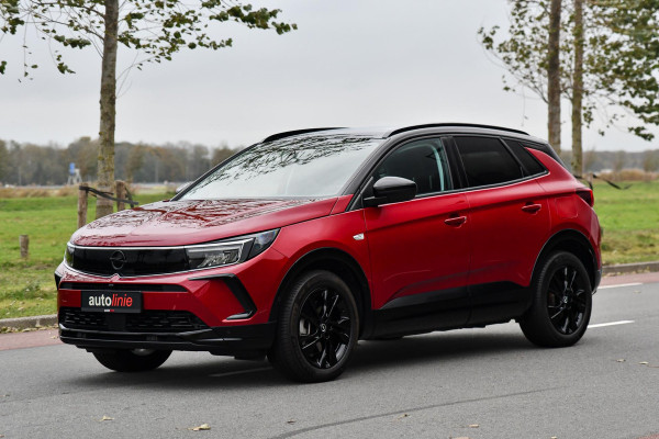 Opel Grandland 1.6 Turbo Plug-In Hybrid GS. ACC, Camera, Dodeh, Stuurvw, Keyless Go, CarPlay!