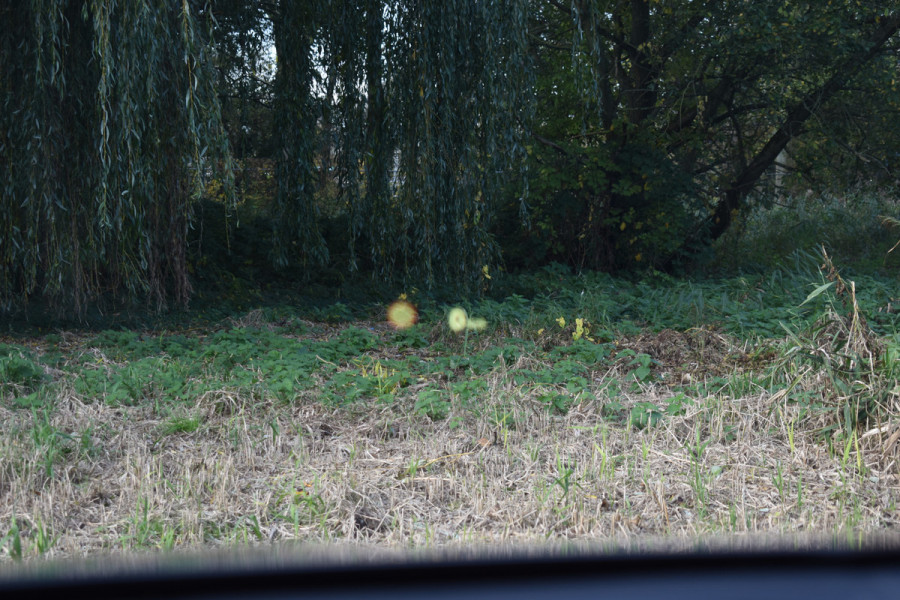 BMW X2 M35iA 306PK HIGH EXECUTIVE M-SPORT HARMAN-KARDON/CAMERA/PANORAMADAK