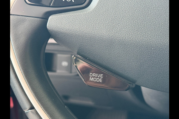 Kia Ev6 58 kWh 100% SOH Dealer Onderhouden