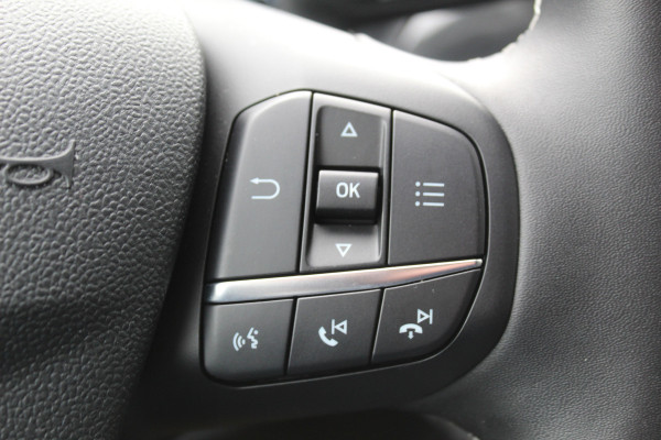 Ford Puma 1.0 EcoBoost Hybrid Titanium , 125pk , 1e Eigenaar Lane Assist, Airco, Cruise, Pdc Achter,Cruise control