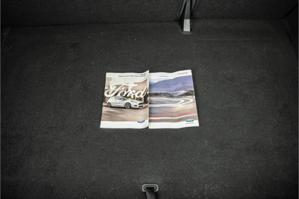 Ford Fiesta 1.0 EcoBoost Vignale Tijdelijke Black friday deal, nu van 13950.- voor 12950.-