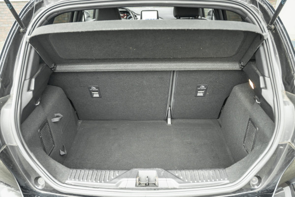 Ford Fiesta 1.0 EcoBoost Vignale Tijdelijke Black friday deal, nu van 13950.- voor 12950.-