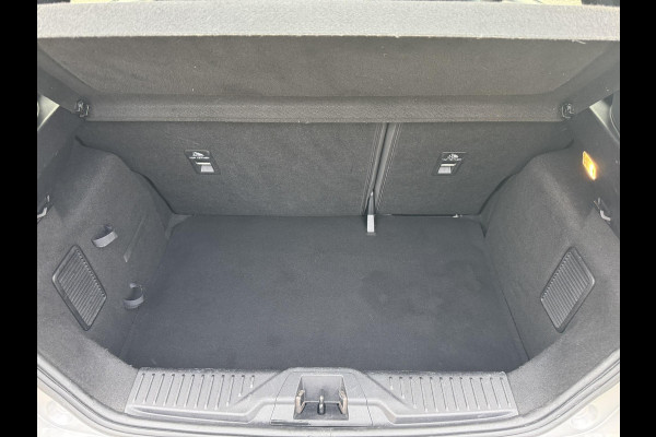 Ford Fiesta 1.0 EcoBoost Active X 95pk 18 inch velgen | Stoelverwarming | Cruise control | Parkeersensoren | Vooruitverwarming
