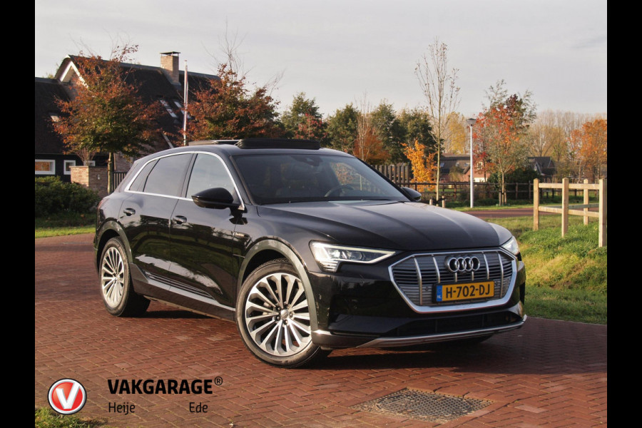 Audi e-tron e-tron 55 quattro advanced 95 kWh | S-line | Panoramadak | Bang & Olufsen | Camera | Apple Carplay |