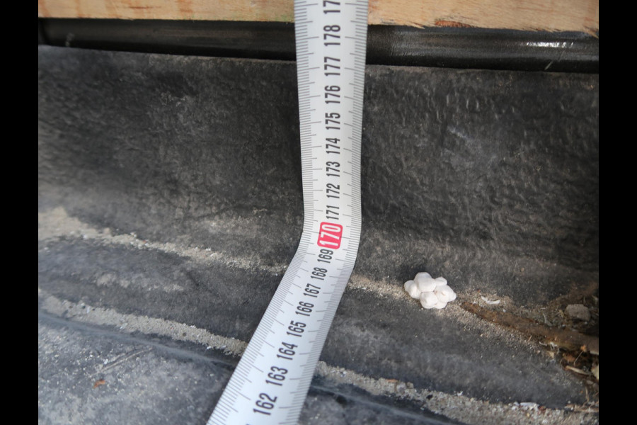 Ford Transit 310 2.0 125 PK TDCI *EURO 6* L2H2 + CAMERA / TREKHAAK 2600 KG / NAVI / DAB