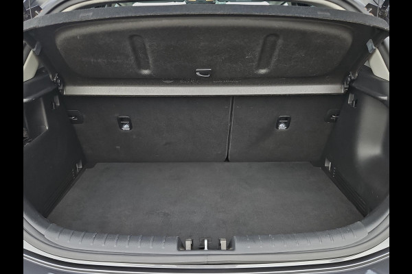 Kia Rio 1.0 TGDI ExecutiveLine | 1e Eigenaar | Weinig kilometers | Stoel- en Stuurverwarming | Lederen Bekleding | Cruise Control | Climate Control | Key-Less |