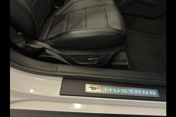 Ford Mustang Convertible 5.0 GT|CABRIOLET|AUTOMAAT|422PK|