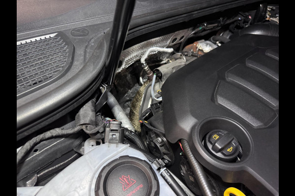 Volkswagen Golf 2.0 TSI GTI CLUBSPORT '45 Jahre' UNIEK | NIEUWSTAAT | VOL!