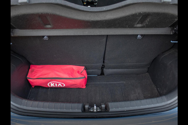 Kia Picanto 1.0 DPi DynamicLine Cruise Control | Navigatie via Carplay |  Camera | Airco | LMV