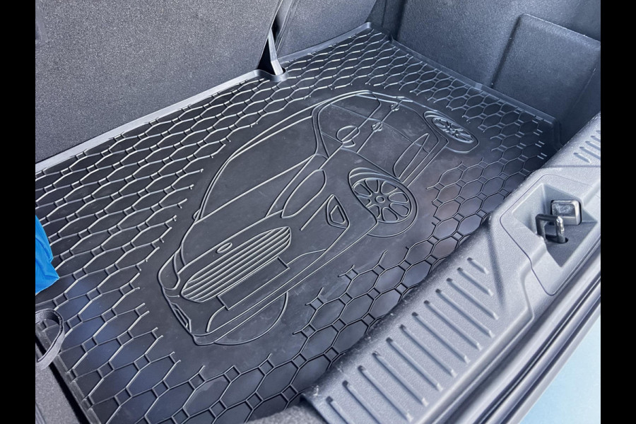 Ford Fiesta 1.0 EcoBoost ST-Line 100pk | Cruise control | Zuid | Apple Carplay/Android Auto