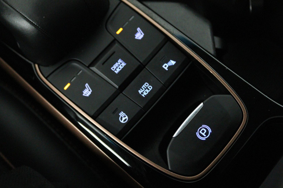 Hyundai IONIQ Premium EV (PANORAMADAK, STOEL/STUUR VERWARMING, CAMERA, ELEKTR STOELEN, NAVIGATIE, PARKEERSENSOREN)