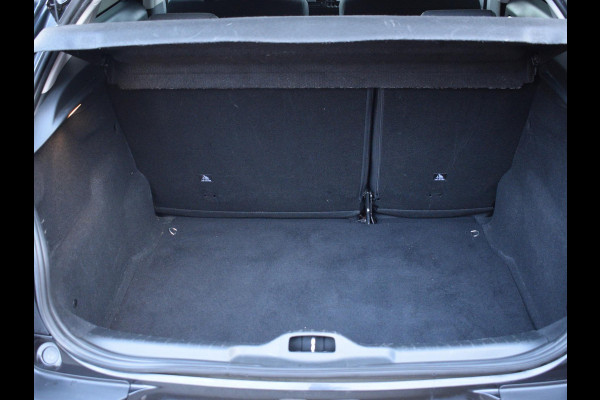 Citroën C4 Cactus 1.2 PureTech Business NAVI | APPLE CARPLAY | PARKEERSENSOREN MET CAMERA | CLIMATE CONTROL | 73.589 KM