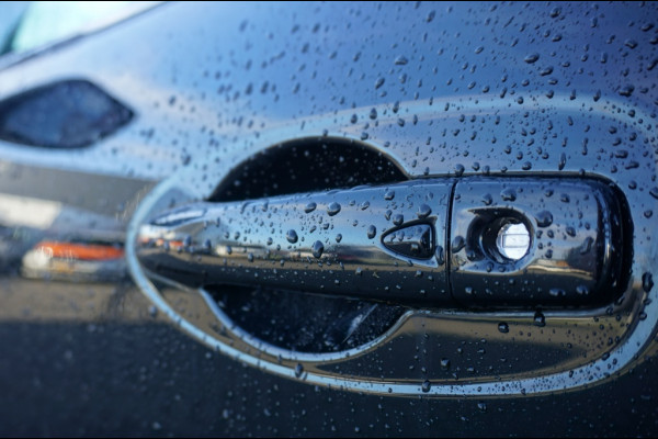 Renault Kadjar 1.2 TCe Bose LUXE | TREKHAAK | ALL - SEASONS | 19" LMV